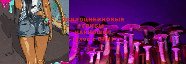 круглые Надым