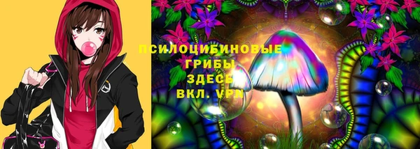 СК Навашино