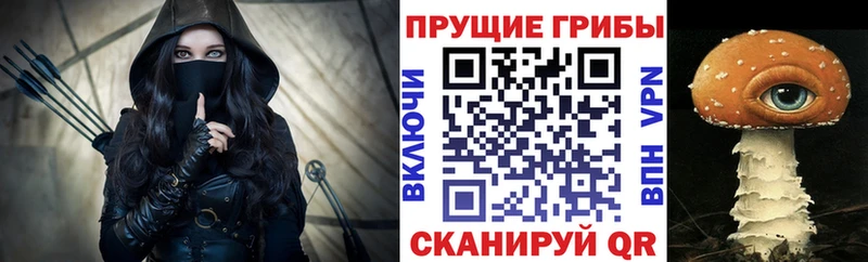 Галлюциногенные грибы Cubensis Коряжма
