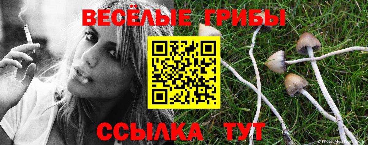 купить наркотики цена  Коряжма  Псилоцибиновые грибы MAGIC MUSHROOMS 